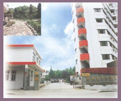 （圖）上海楊浦區中心醫院