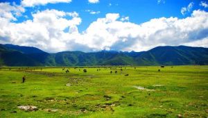 藍月山谷石卡雪山景區 藍月山谷石卡雪山景區