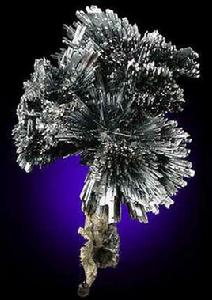 世界銻都 世界銻都