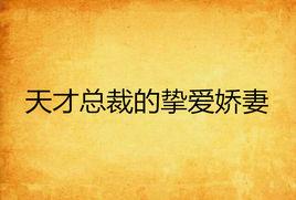 天才總裁的摯愛嬌妻