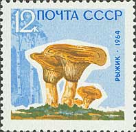 黃蘑菇