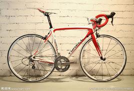 泰勒[泰勒腳踏車]