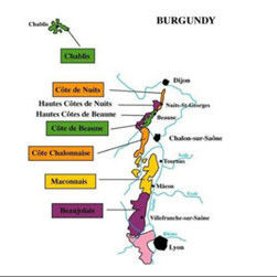 勃艮第產區 勃艮第產區