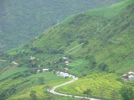 四公里村 四公里村