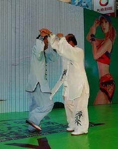 楊式太極拳推手