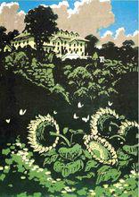 sunflower[菊科向日葵屬植物]