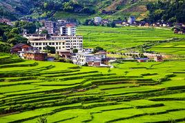 福建尤溪聯合梯田 福建尤溪聯合梯田