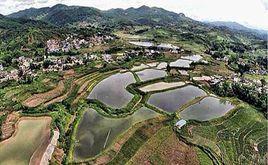 姚寨村[山東夏津縣南城鎮下轄村]