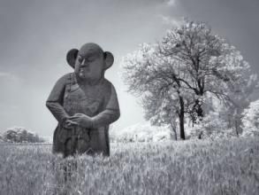 2014年 平遙國際攝影節個展《宋陵&middot;元像》獲得社會生活類優秀攝影師獎。