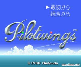 飛行俱樂部[任天堂發行的遊戲系列]