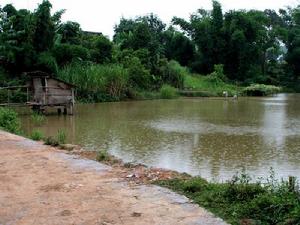 納井村-漁業養殖