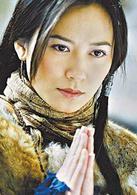 無憂公主[2004年李惠民導演電視劇]