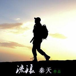 流浪[秦天演唱歌曲]