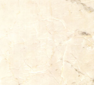 萊可米黃 | Lycos Beige |