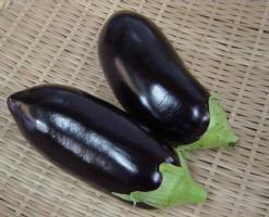 松江蘭花小茄 松江蘭花小茄