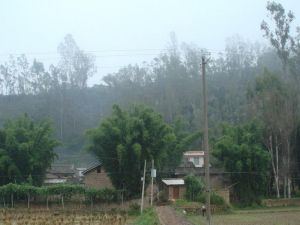 王德橋村 王德橋村