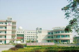 金華市青春中學 金華市青春中學