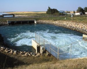 萊斯布里奇大學