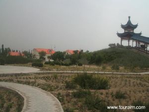 靈武白芨灘自然保護區