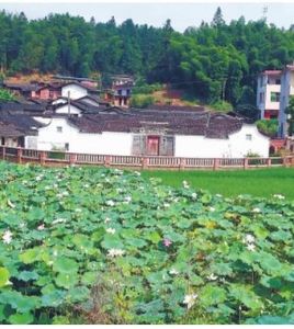 下荷花塘自然村 下荷花塘自然村