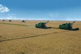 勝利農場[黑龍江農墾建三江管理局勝利農場]