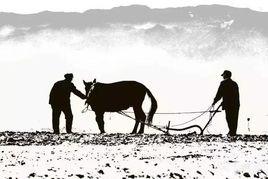 周祖農耕文化之鄉 周祖農耕文化之鄉