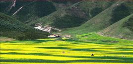 鷂子溝國家森林公園 鷂子溝國家森林公園