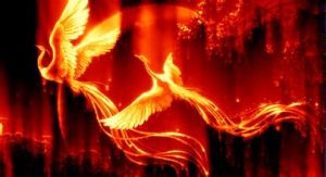 神話傳說中的 神鳥 ——火鳳凰