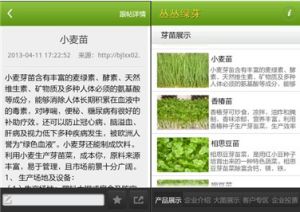 企業版手機客戶端 企業版手機客戶端