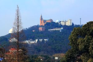 佘山森林公園 佘山森林公園
