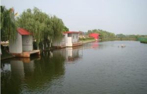 金波漁港 金波漁港