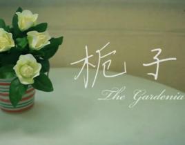 梔子[2012年劉佳亮執導電影]