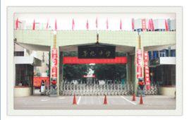 孝義九中 孝義九中