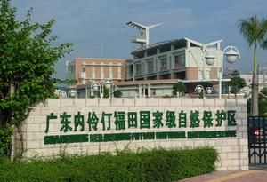 廣東內伶仃福田自然保護區