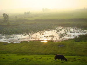 趙店水庫 趙店水庫