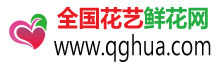 全國花藝鮮花網 全國花藝鮮花網