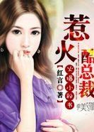 火爆小秘書:惹火酷總裁 火爆小秘書:惹火酷總裁