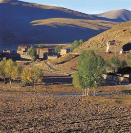 慶大溝森林公園