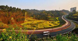 樂山市中心城區綠心保護條例 樂山市中心城區綠心保護條例