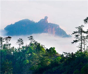 泰寧貓兒山公園 泰寧貓兒山公園