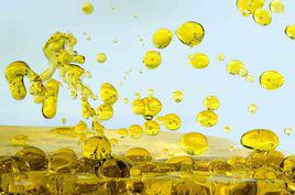 牡丹籽油 牡丹籽油