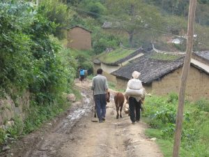 下白乃村 下白乃村