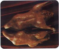 秦欄老鵝 秦欄老鵝