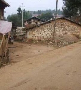 龍樹邊村 龍樹邊村