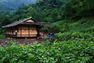 魚泉度假景區 魚泉度假景區