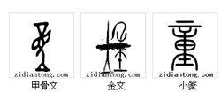 漢字金文、甲骨文、秦漢小篆 本狀