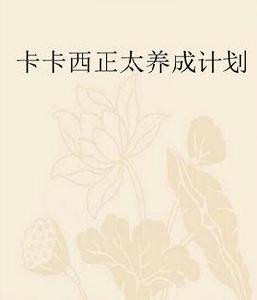 卡卡西正太養成計畫