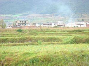 雙陽村[雲南省大理州大理市銀橋鎮下轄村]