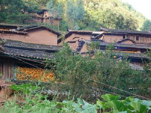 席草箐村 席草箐村