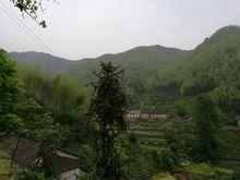 大龍村[安徽省太湖縣城西鄉大龍村]